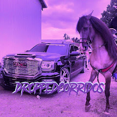 DroppedCorridos