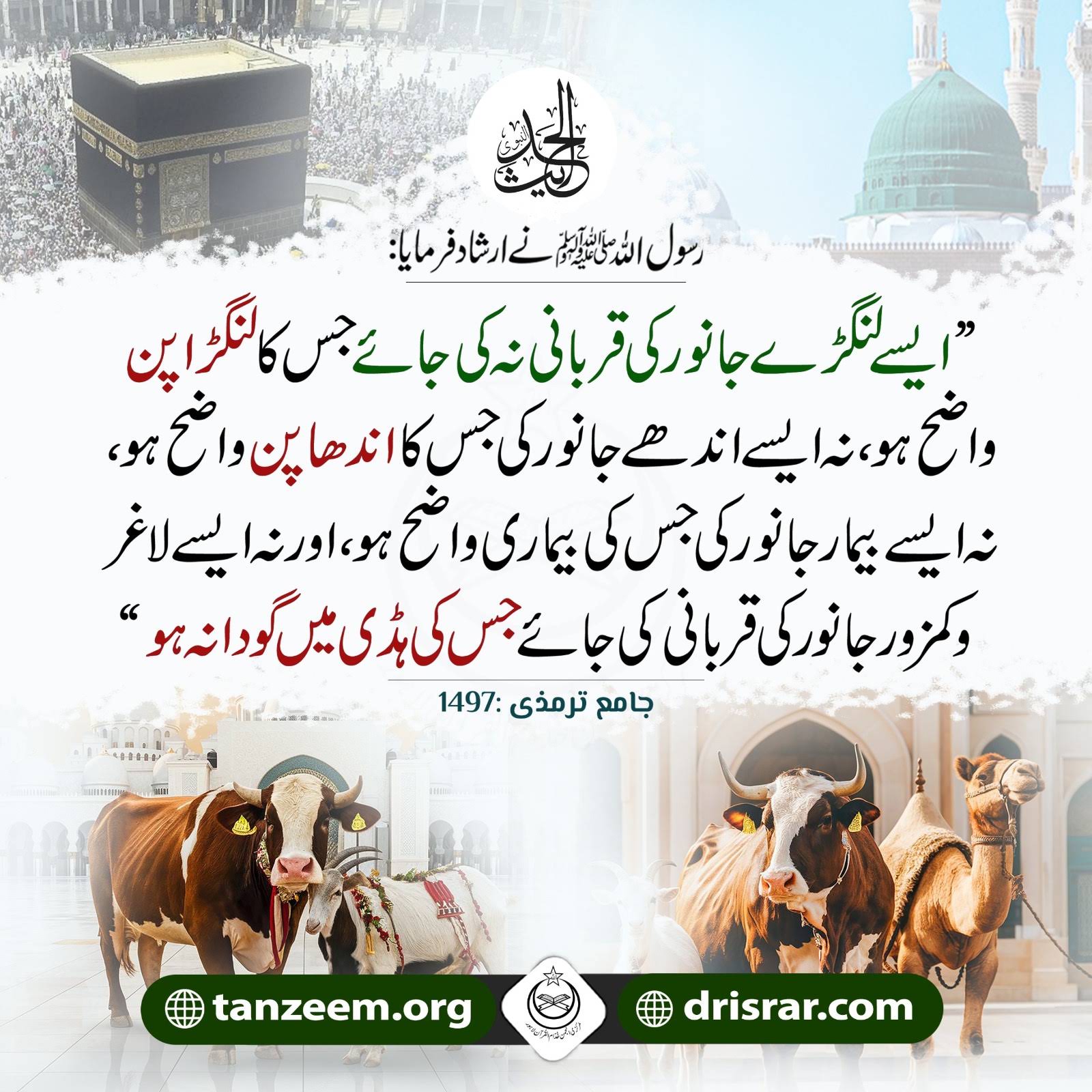 Post from Dr. Arif Rasheed Official