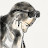 @themartinandersson's avatar
