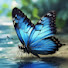 cznw5lNJ1U8-channel-avatar-Angele