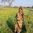 @Village_vibe-N1