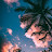 @AayushAlways Avatar