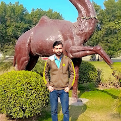 Shahidu sada