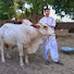 aUQkn4toTIo-channel-avatar-Brohi Farm House Official 