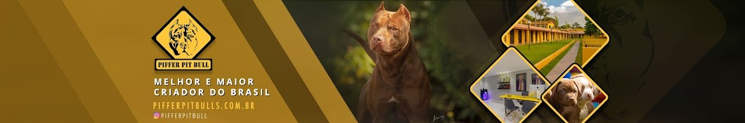 PIFFER PIT BULL Avatar canale YouTube 