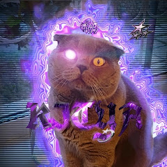 Китя😸💫 avatar