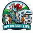 X1JfmScnDCs-channel-avatar-My Welsh Life