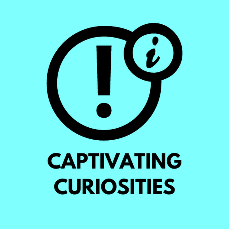 Captivating Curiosities