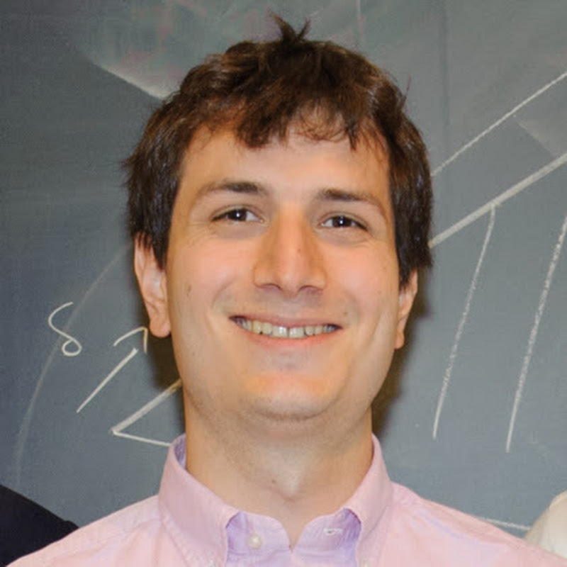 Prof Mihai Nica Logo