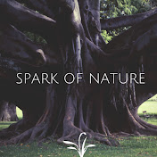 Spark of Nature