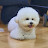 @처음처럼-h6m
