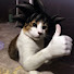aXHh_r3QX3c-channel-avatar-DOÑA RESUMEN