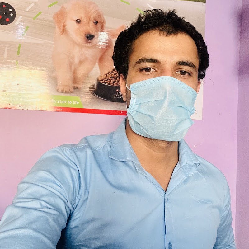 Global pets clinic 🐶