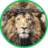 TvAcVeqyjuQ-channel-avatar-Shield of Faith Morning