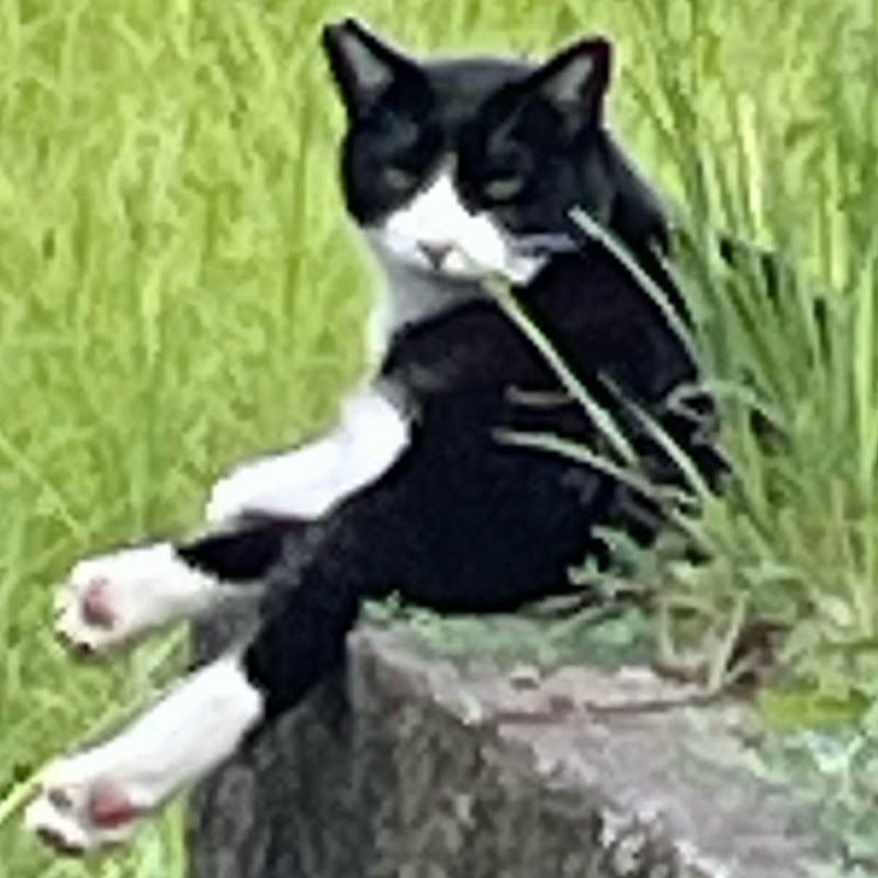 るび