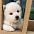 @서징지
