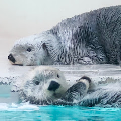 Mrs.スーパーラッ子