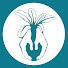 ogFsJkDpr1w-channel-avatar-Estación Agroecológica de Vieiro