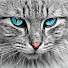 WwoC3ETc4q8-channel-avatar-Hassarox