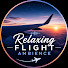 wCv0Nqjv0Ak-channel-avatar-Relaxing Flight Ambience