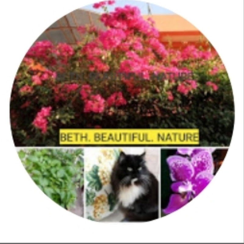 beth beautiful nature
