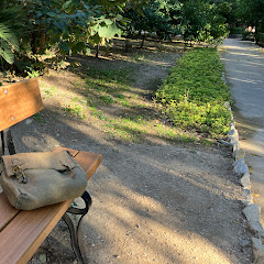 Laoyeアイコン画像