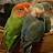 @lovebirdsmaria