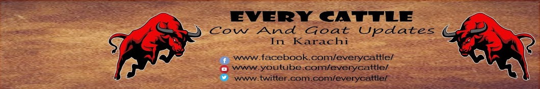 Latest Cow Updates In Karachi YouTube-Kanal-Avatar