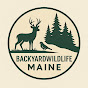 Backyard Wildlife Maine logo