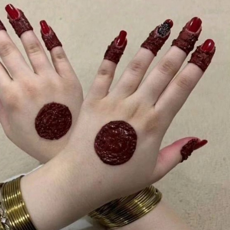Ani Farooq lifestyle