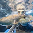 OggFh5FcNOA-channel-avatar-theofilos spearfishing