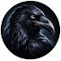 vENQbuRTpxg-channel-avatar-Студия ВОРОН