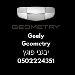 רכבים חשמליים - יבגני פוגץ