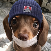 와와