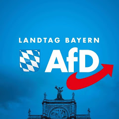 AfD-Fraktion Landtag Bayern net worth