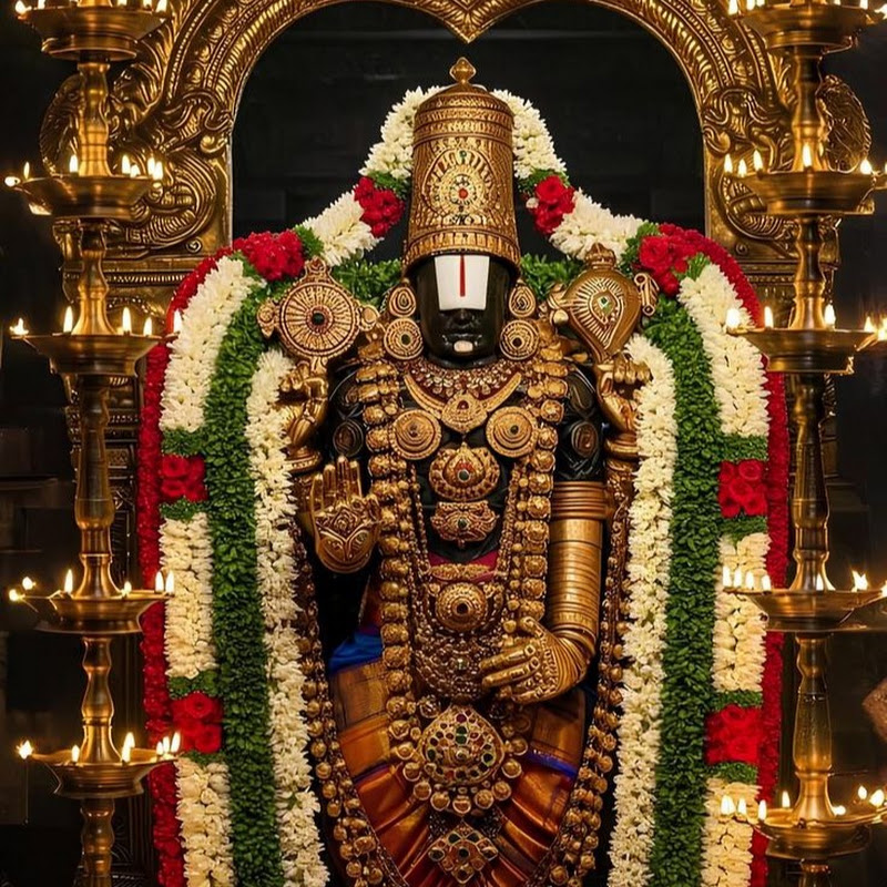 Vijaya Home Diaries