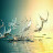 @user-jv6qg7tv7d