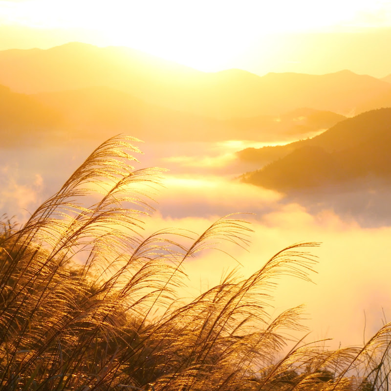 聞き流し開運波動BGMチャンネルのサムネイル