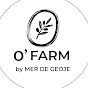 메르 드 거제 올리브 정원의 하루 + O’FARM