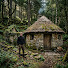 0OY95UB6c7I-channel-avatar-DeepForest Frame  