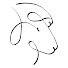 fLXjWxJM8dM-channel-avatar-Crazy for Ewe