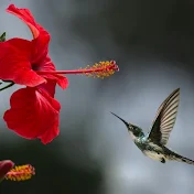 걸어서 느낌을 남겨요