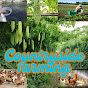 Countrysidefarming logo