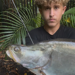 SoFlo Jio 