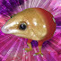xAkmnurh4eM-channel-avatar-Beastoblast