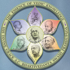 Логотип каналу VanimediaMayapur