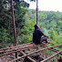 TmT6Co-8TbM-channel-avatar-Sumatra Forest