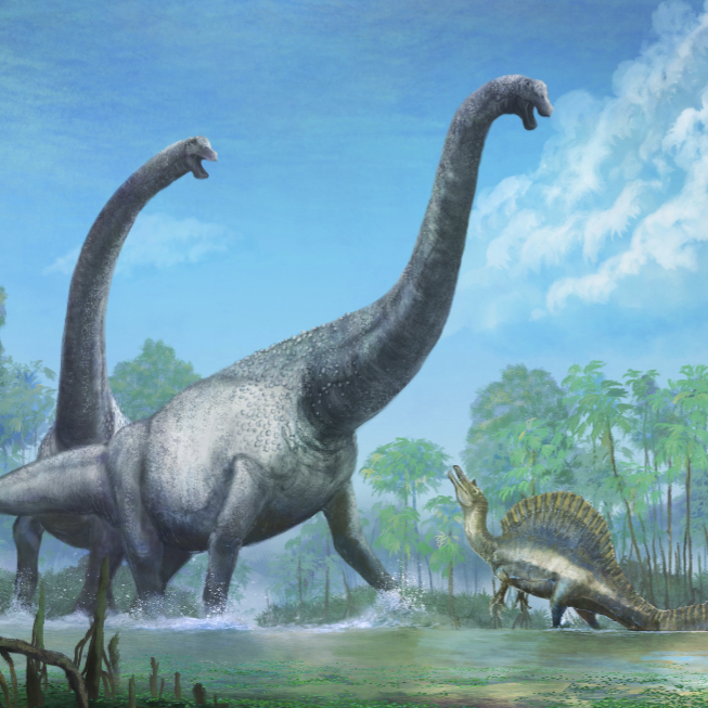 Post from Vividen: Paleontology Evolved