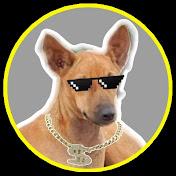 Dogesh Bhai