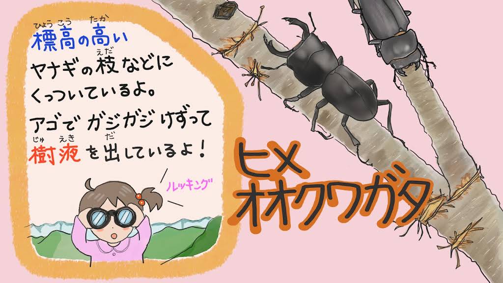 どんぐりん様 どんぐりんご様☆専用ページ 9/5〜7はポイント